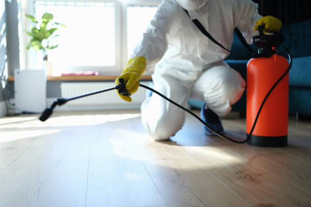 Reliable Sewage Cleanup contractor in Kent City, MI by Trauma Clean Pros